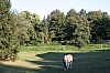 IMG_3570.jpg IMG_3570.jpg